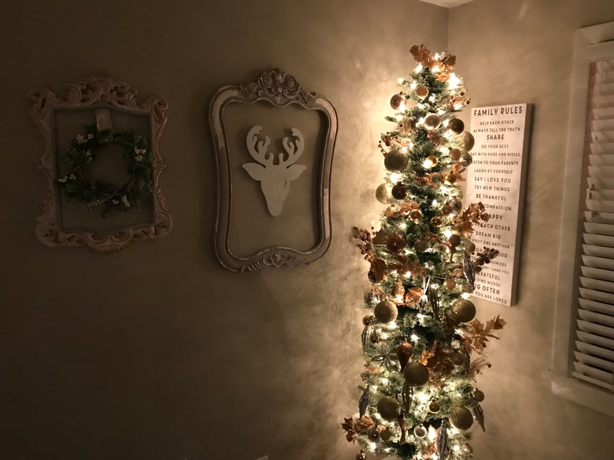 How to Keep Your Cat Out of the Christmas Tree